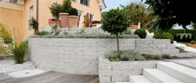 Gepflasterte Gartenlandschaft mit Stufen und verschiedenen Pflanzen.